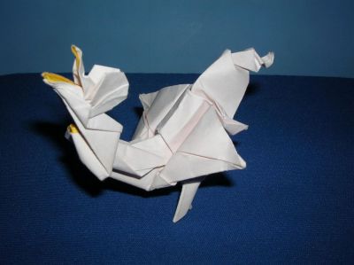 Le chant du coq brouillon
