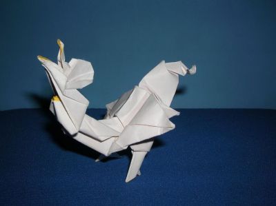 Le chant du coq brouillon
