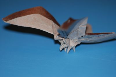 Papillon, Féérie Mars 2010

