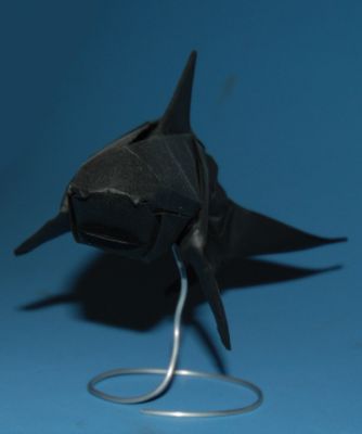 Requin
