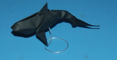 Requin
