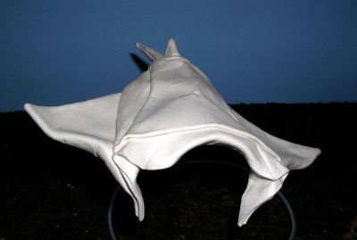 Raie manta
