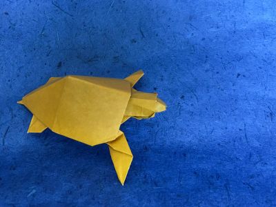 Tortue de mer
 version simplifiée de la tête pour petit format - ici dans du 15x15cm
