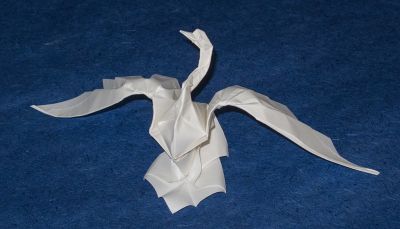 cygne_base_quyet.jpg