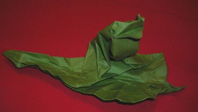 happy toad on a leaf

