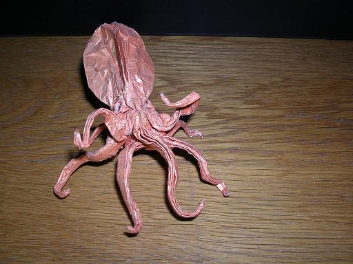 Octopus de Peter ENGEL
