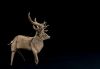Nom du fichier=Cerf_1_LR_web.jpg
Taille du fichier=383Ko
Dimensions : 1342x937
Ajouté le : 17 Avril 2018 Cerf_1_LR_web.jpg