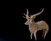 Nom du fichier=Cerf_2_LR_web.jpg
Taille du fichier=218Ko
Dimensions : 911x753
Ajouté le : 17 Avril 2018 Cerf_2_LR_web.jpg