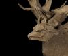 Nom du fichier=Cerf_3_LR_web.jpg
Taille du fichier=544Ko
Dimensions : 1182x980
Ajouté le : 17 Avril 2018 Cerf_3_LR_web.jpg