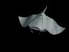 Nom du fichier=Manta_2019_3_web.jpg
Taille du fichier=257Ko
Dimensions : 1244x933
Ajouté le : 09 Février 2019 Manta_2019_3_web.jpg