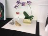 Nom du fichier=img_OUSA_2018_13.jpg
Taille du fichier=197Ko
Dimensions : 968x726
Ajouté le : 26 Juin 2018 img_OUSA_2018_13.jpg