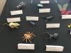 Nom du fichier=img_OUSA_2018_20.jpg
Taille du fichier=242Ko
Dimensions : 968x726
Ajouté le : 26 Juin 2018 img_OUSA_2018_20.jpg