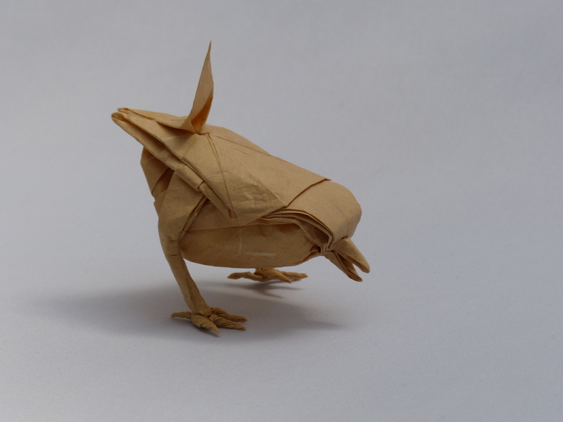 Wren-Sebl
