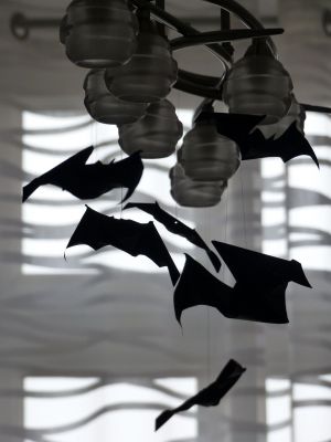 Chauve-souris, d'après M Lafosse
