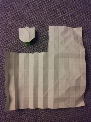 Tentative "2D Rose" by Táo jūn
