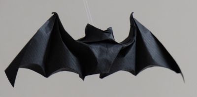 Chauve-souris, d'après M Lafosse
