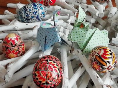 Lapin de Kade Chan
