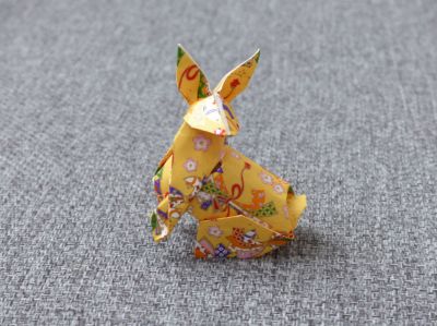 Lapin de David Brill
