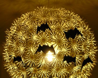 Chauve-souris de Michael Lafosse
