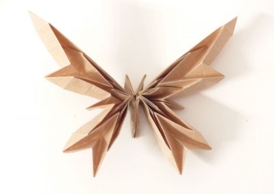 Papillon_CP.JPG