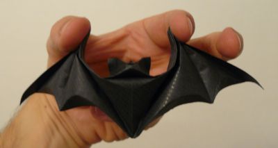 Variations sur les chauves-souris de LaFosse
