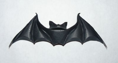 Variante de la chauve-souris de M LaFosse

