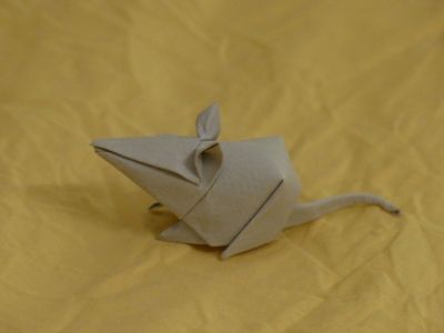 Souris Tanaka
