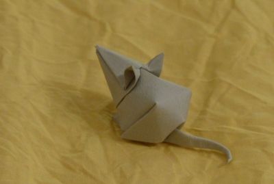Souris Tanaka
