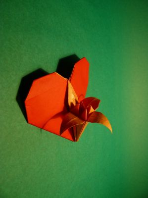 "Coeur avec iris" de Andrey Lukyanov 
Carré double soie ~ 25 cm

