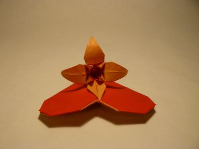 "Coeur avec iris" de Andrey Lukyanov 
