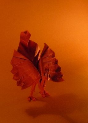 Task2-Photo3.JPG