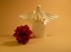 Nom du fichier=2012-12_ange_et_boule_de_Noel.jpg
Taille du fichier=196Ko
Dimensions : 2048x1535
Ajouté le : 07 Décembre 2012 2012-12_ange_et_boule_de_Noel.jpg