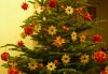 Nom du fichier=Boules_de_Noel_1.jpg
Taille du fichier=1763Ko
Dimensions : 2000x1387
Ajouté le : 22 Décembre 2012 Boules_de_Noel_1.jpg