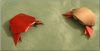 Nom du fichier=Crabe_Donya_Quick.jpg
Taille du fichier=24Ko
Dimensions : 362x187
Ajouté le : 02 Juin 2018 Crabe_Donya_Quick.jpg