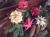 Nom du fichier=Curler_de_Noel_2.jpg
Taille du fichier=159Ko
Dimensions : 811x607
Ajouté le : 01 Janvier 2018 Curler_de_Noel_2.jpg