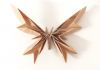 Nom du fichier=Papillon_CP.JPG
Taille du fichier=128Ko
Dimensions : 2048x1453
Ajouté le : 01 Mai 2014 Papillon_CP.JPG