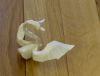 Nom du fichier=Swan_HTQ_2010.JPG
Taille du fichier=281Ko
Dimensions : 2048x1564
Ajouté le : 05 Janvier 2019 Swan_HTQ_2010.JPG