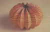 Nom du fichier=Vase_-_Paul_Jackson.jpg
Taille du fichier=198Ko
Dimensions : 1083x707
Ajouté le : 01 Novembre 2017 Vase_-_Paul_Jackson.jpg