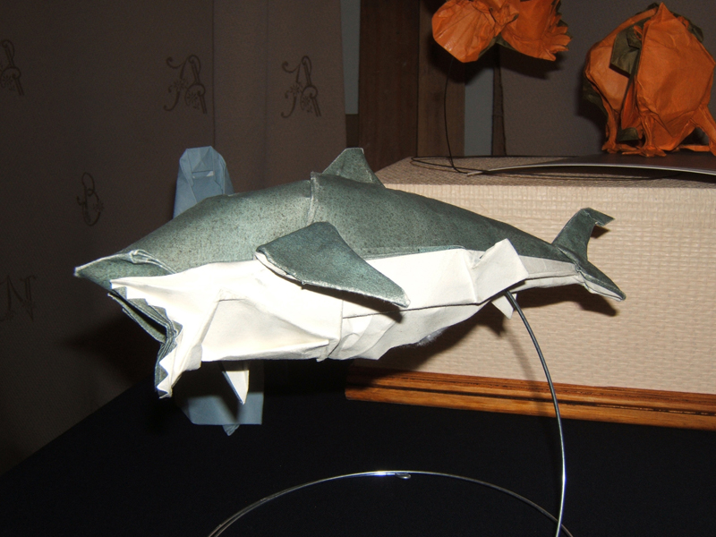 Requin - B. Peyton
