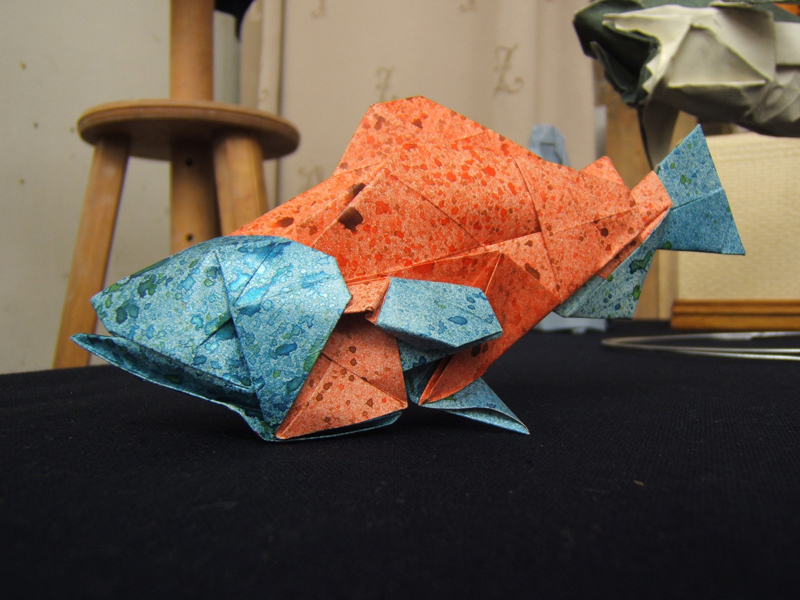 Poisson - Joseph Wu
Description éditée suite à la précision de bobbob
