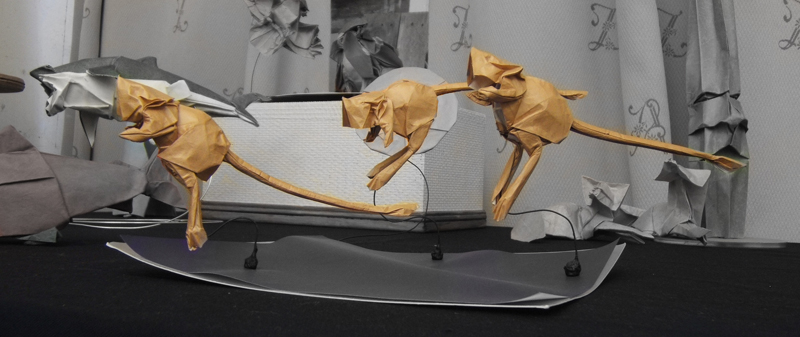 Rats kangourous - B. Peyton
