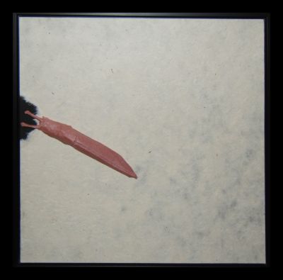 Limace sur une feuille de papier - Aurèle
