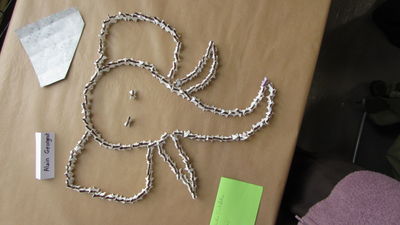 IMG_0016_2.JPG