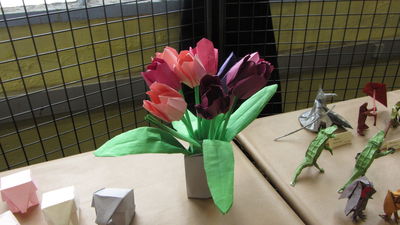 IMG_0024_2.JPG