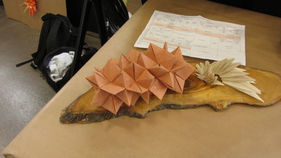 IMG_0029_2.JPG