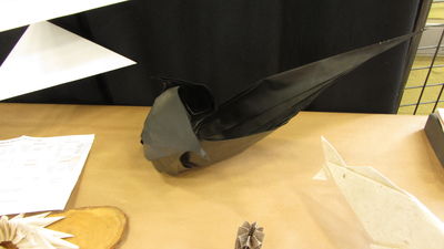 IMG_0030_2.JPG