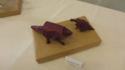 IMG_0059_2.JPG