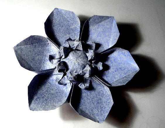 Hexafleur
pliée à partir d'un hexagone régulier de 14 cm de côté
papier métal bleu contre-collé avec du papier soie blanc
