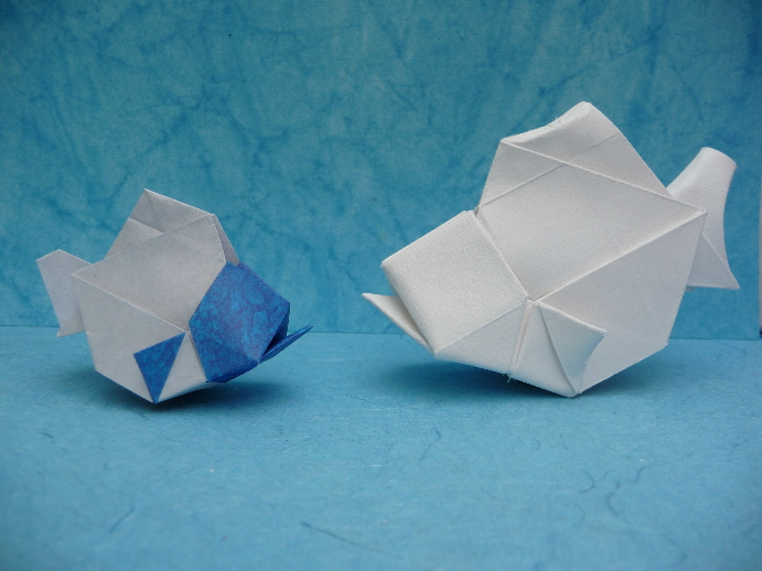 Poissons de Hsi-hua Liu
