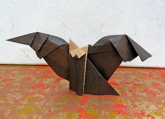 Renard_Chauve-souris.jpg